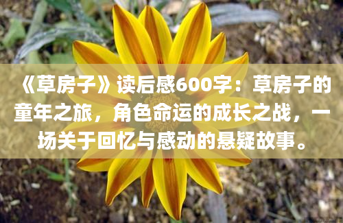 《草房子》读后感600字：草房子的童年之旅，角色命运的成长之战，一场关于回忆与感动的悬疑故事。