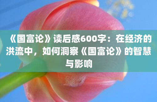 《国富论》读后感600字：在经济的洪流中，如何洞察《国富论》的智慧与影响