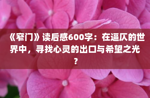 《窄门》读后感600字：在逼仄的世界中，寻找心灵的出口与希望之光？