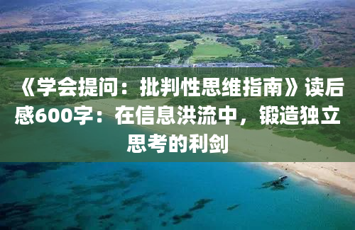 《学会提问：批判性思维指南》读后感600字：在信息洪流中，锻造独立思考的利剑