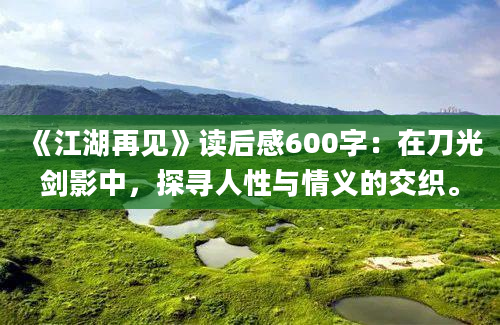 《江湖再见》读后感600字：在刀光剑影中，探寻人性与情义的交织。