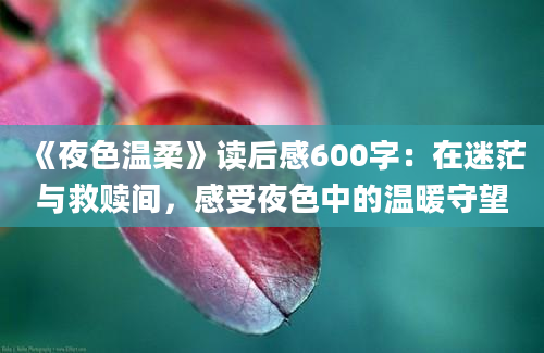 《夜色温柔》读后感600字：在迷茫与救赎间，感受夜色中的温暖守望