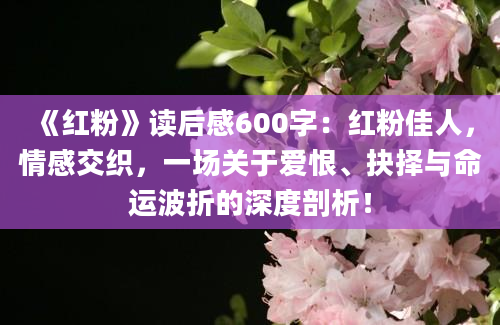 《红粉》读后感600字：红粉佳人，情感交织，一场关于爱恨、抉择与命运波折的深度剖析！