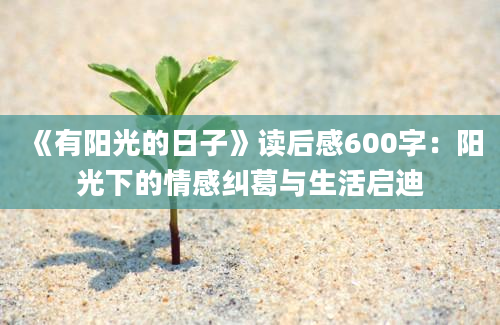 《有阳光的日子》读后感600字：阳光下的情感纠葛与生活启迪