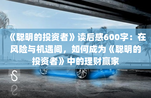 《聪明的投资者》读后感600字：在风险与机遇间，如何成为《聪明的投资者》中的理财赢家