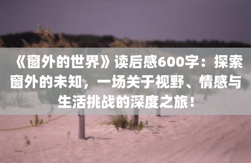 《窗外的世界》读后感600字：探索窗外的未知，一场关于视野、情感与生活挑战的深度之旅！