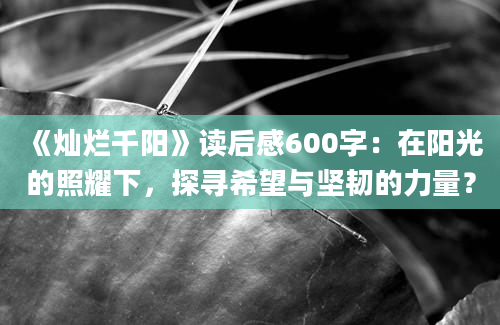 《灿烂千阳》读后感600字：在阳光的照耀下，探寻希望与坚韧的力量？