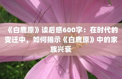 《白鹿原》读后感600字：在时代的变迁中，如何揭示《白鹿原》中的家族兴衰