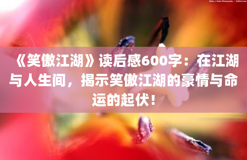 《笑傲江湖》读后感600字：在江湖与人生间，揭示笑傲江湖的豪情与命运的起伏！