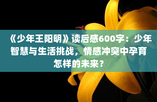 《少年王阳明》读后感600字：少年智慧与生活挑战，情感冲突中孕育怎样的未来？