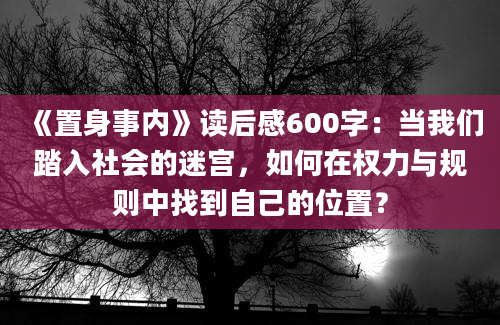 《置身事内》读后感600字：当我们踏入社会的迷宫，如何在权力与规则中找到自己的位置？