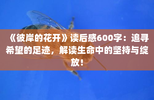 《彼岸的花开》读后感600字：追寻希望的足迹，解读生命中的坚持与绽放！