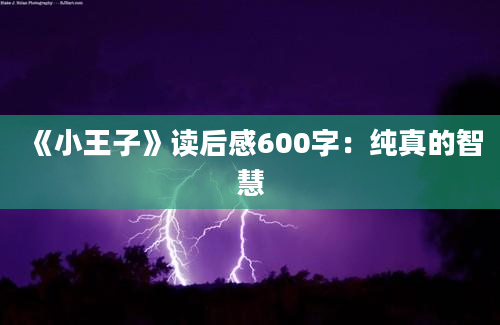 《小王子》读后感600字：纯真的智慧