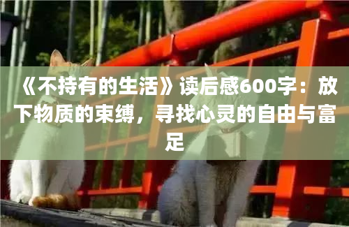 《不持有的生活》读后感600字：放下物质的束缚，寻找心灵的自由与富足