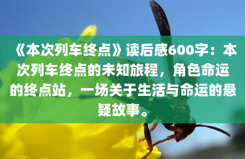 《本次列车终点》读后感600字：本次列车终点的未知旅程，角色命运的终点站，一场关于生活与命运的悬疑故事。