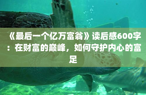 《最后一个亿万富翁》读后感600字：在财富的巅峰，如何守护内心的富足