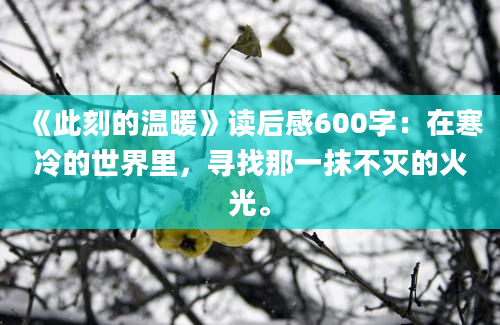 《此刻的温暖》读后感600字：在寒冷的世界里，寻找那一抹不灭的火光。