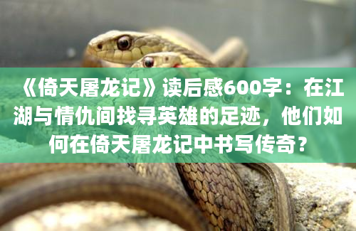 《倚天屠龙记》读后感600字：在江湖与情仇间找寻英雄的足迹，他们如何在倚天屠龙记中书写传奇？