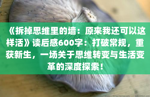 《拆掉思维里的墙：原来我还可以这样活》读后感600字：打破常规，重获新生，一场关于思维转变与生活变革的深度探索！