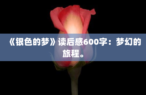 《银色的梦》读后感600字：梦幻的旅程。