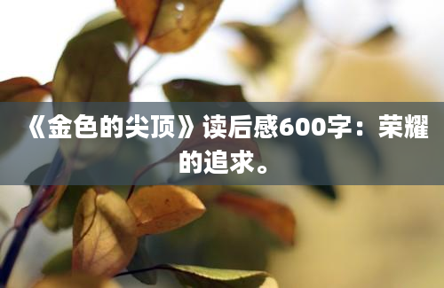 《金色的尖顶》读后感600字：荣耀的追求。