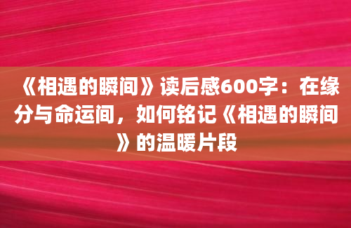 《相遇的瞬间》读后感600字：在缘分与命运间，如何铭记《相遇的瞬间》的温暖片段