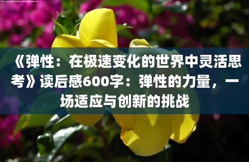 《弹性：在极速变化的世界中灵活思考》读后感600字：弹性的力量，一场适应与创新的挑战