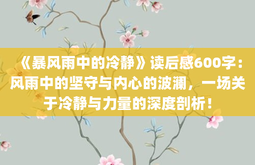 《暴风雨中的冷静》读后感600字：风雨中的坚守与内心的波澜，一场关于冷静与力量的深度剖析！