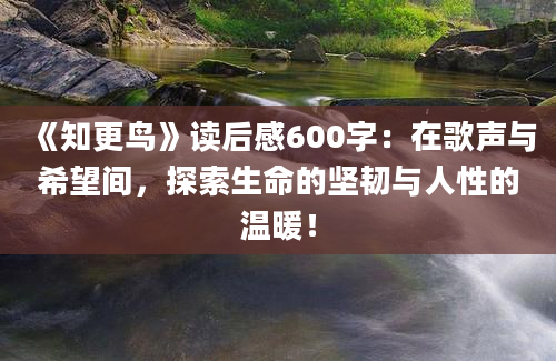 《知更鸟》读后感600字：在歌声与希望间，探索生命的坚韧与人性的温暖！