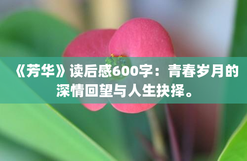 《芳华》读后感600字：青春岁月的深情回望与人生抉择。