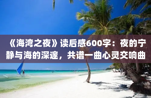 《海湾之夜》读后感600字：夜的宁静与海的深邃，共谱一曲心灵交响曲