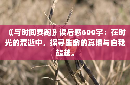 《与时间赛跑》读后感600字：在时光的流逝中，探寻生命的真谛与自我超越。