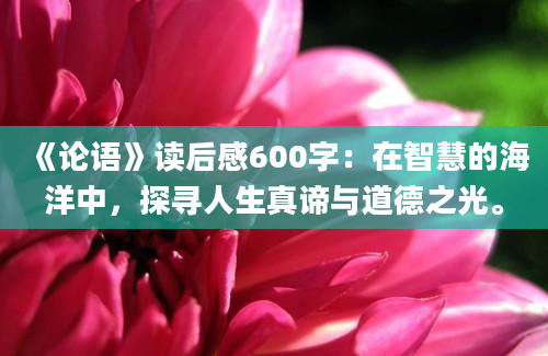 《论语》读后感600字：在智慧的海洋中，探寻人生真谛与道德之光。