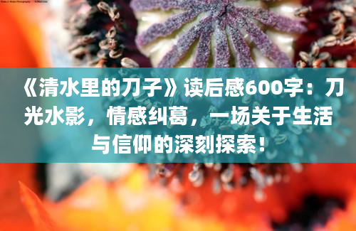 《清水里的刀子》<a href=https://www.baixuetang.com target=_blank class=infotextkey>读后感</a>600字：刀光水影，情感纠葛，一场关于生活与信仰的深刻探索！