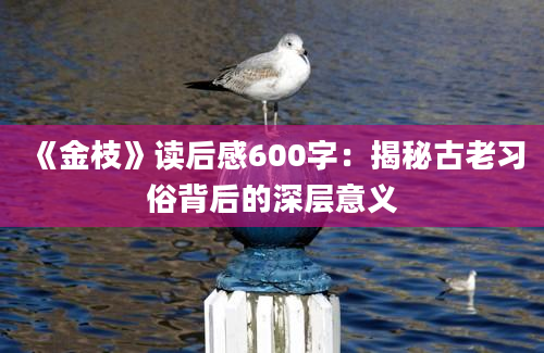 《金枝》读后感600字：揭秘古老习俗背后的深层意义