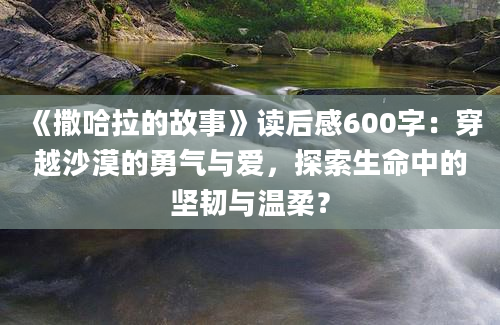 《撒哈拉的故事》读后感600字：穿越沙漠的勇气与爱，探索生命中的坚韧与温柔？