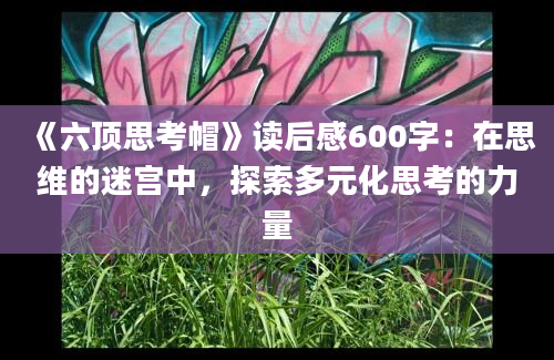 《六顶思考帽》读后感600字：在思维的迷宫中，探索多元化思考的力量