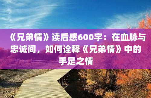 《兄弟情》读后感600字：在血脉与忠诚间，如何诠释《兄弟情》中的手足之情