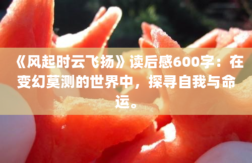 《风起时云飞扬》读后感600字：在变幻莫测的世界中，探寻自我与命运。