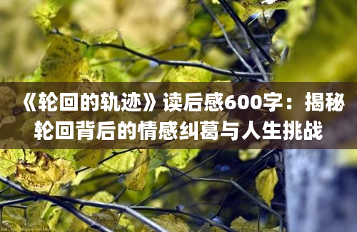 《轮回的轨迹》读后感600字：揭秘轮回背后的情感纠葛与人生挑战