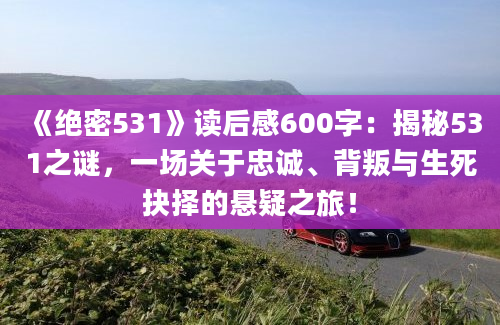 《绝密531》读后感600字：揭秘531之谜，一场关于忠诚、背叛与生死抉择的悬疑之旅！