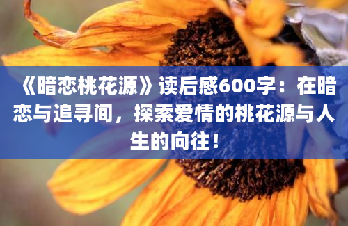 《暗恋桃花源》读后感600字：在暗恋与追寻间，探索爱情的桃花源与人生的向往！