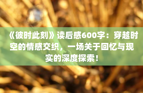 《彼时此刻》读后感600字：穿越时空的情感交织，一场关于回忆与现实的深度探索！