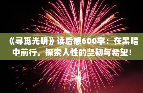 《寻觅光明》读后感600字：在黑暗中前行，探索人性的坚韧与希望！