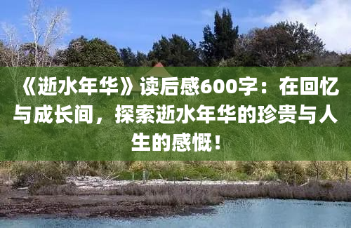 《逝水年华》读后感600字：在回忆与成长间，探索逝水年华的珍贵与人生的感慨！