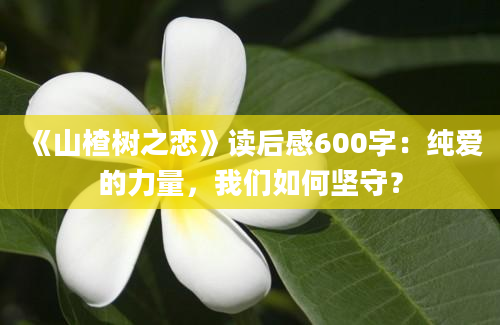 《山楂树之恋》读后感600字：纯爱的力量，我们如何坚守？