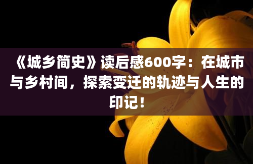 《城乡简史》读后感600字：在城市与乡村间，探索变迁的轨迹与人生的印记！