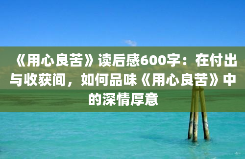 《用心良苦》读后感600字：在付出与收获间，如何品味《用心良苦》中的深情厚意