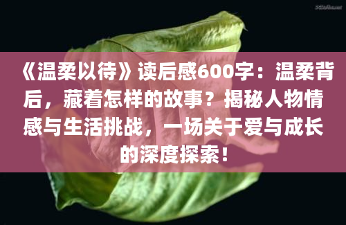 《温柔以待》<a href=https://www.baixuetang.com target=_blank class=infotextkey>读后感</a>600字：温柔背后，藏着怎样的故事？揭秘人物情感与生活挑战，一场关于爱与成长的深度探索！