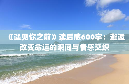 《遇见你之前》读后感600字：邂逅改变命运的瞬间与情感交织